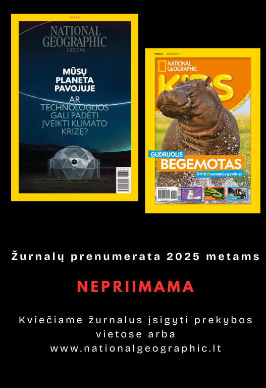 Prenumerata nepriimama